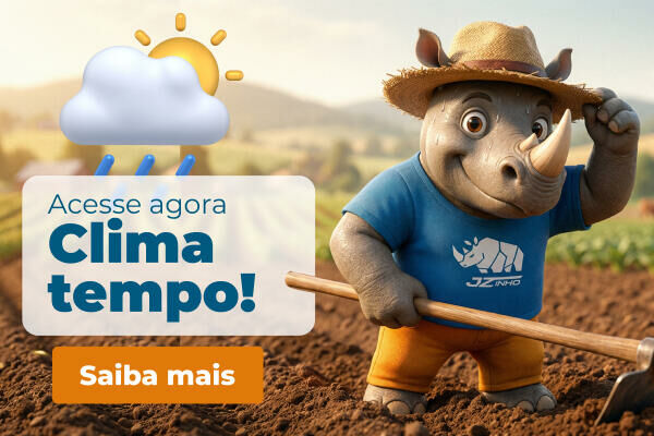 Imagem Previsão do tempo